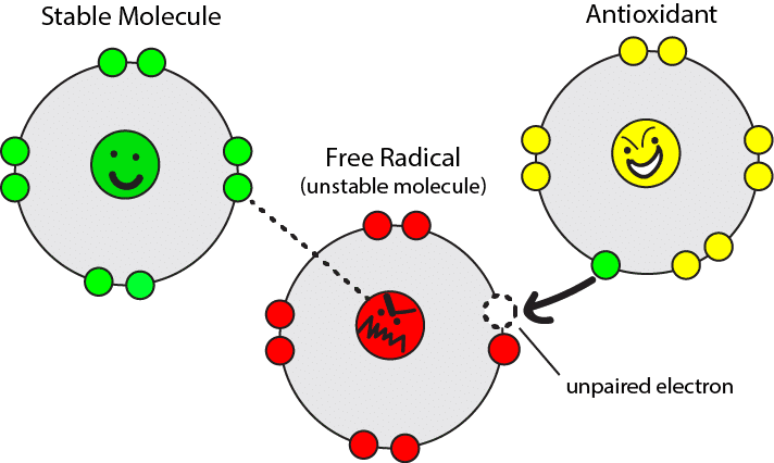 free-radicals-and-reactive-oxygen-species-ros-introduction-to-free