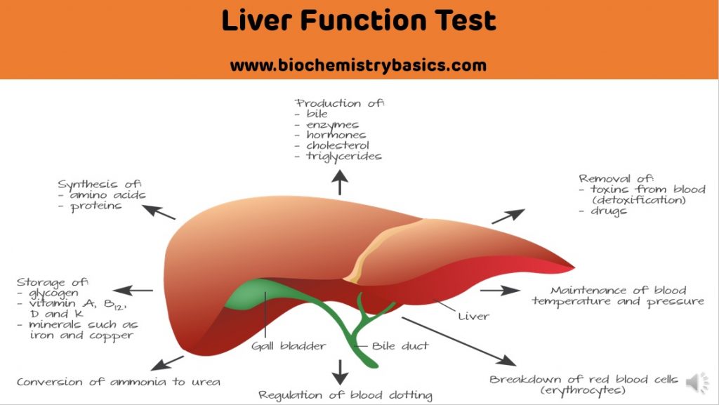 case study on liver function test