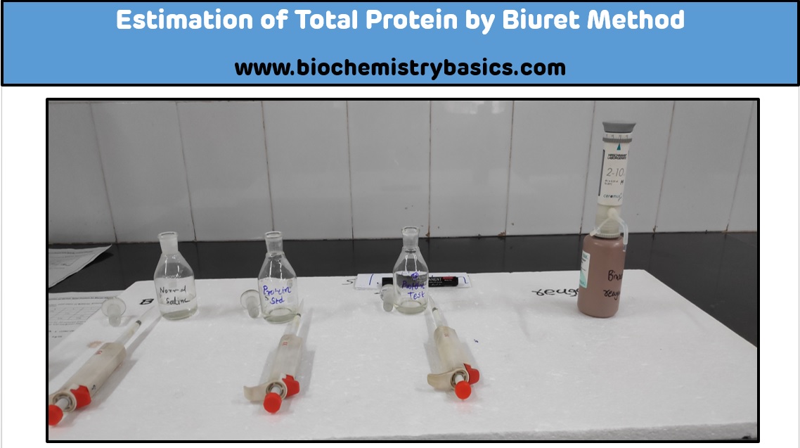 Estimation Of Total Protein By Biuret Method – Biochemistry Basics By ...