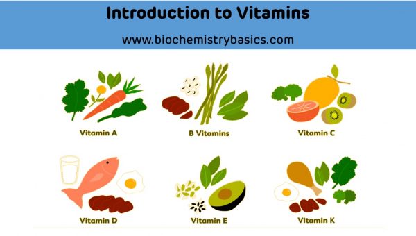 Introduction to Vitamins – Biochemistry Basics by Dr. Amit Maheshwari